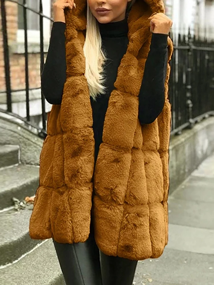 Autumn Winter Women Fox Fur Vest Hooded Fluffy Top Thick Warm Jacket Fashion Ladies Sleeveless Fleece Coat Female Outerwear 2022