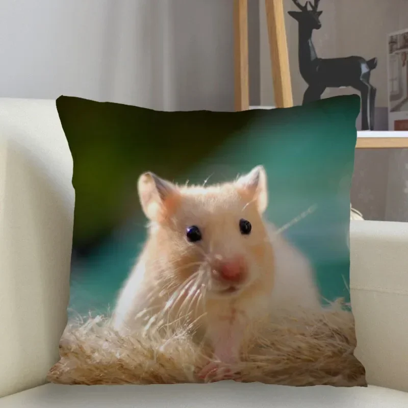 Наволочка с принтом хомяк 40x40 см игорь михайлович шевчук шел хомяк в пиджаке