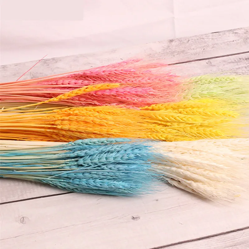 

10pcs Wheat Ears Grass Dried Flower Natural DIY Party Material Decoration Home Table Bouquet Valentines Day Gift