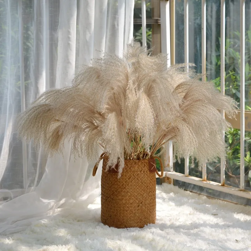 

Real Natural Pampas Grass Dried Flowers Plants Wedding Decoration Bouquet Fluffy Lovely Decor Accesories For Home Fleurs Sechees
