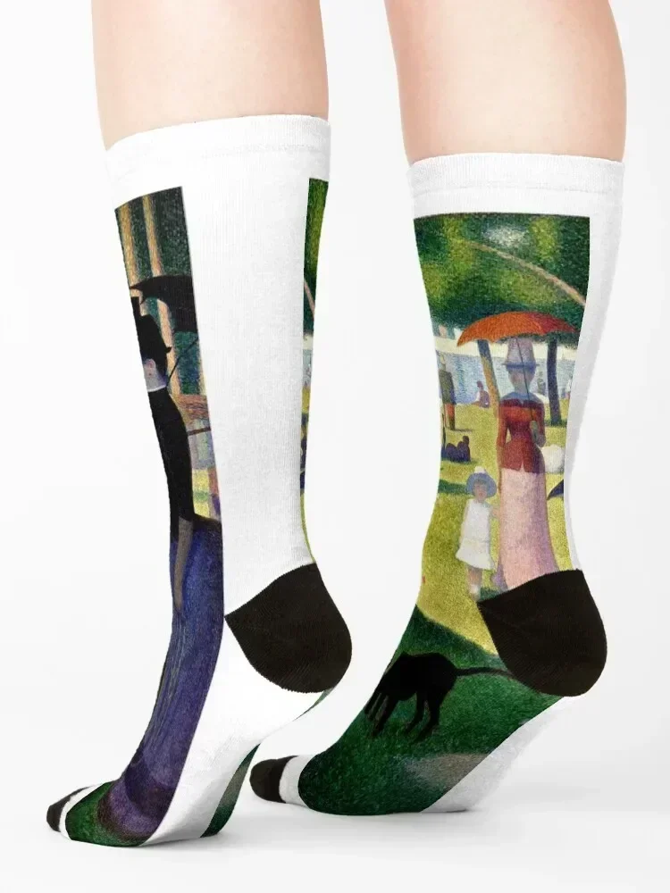 Georges Seurat Sunday in the Park la grande jatte Pointilist River Seine Носки цветные кеды Мужские носки Женские