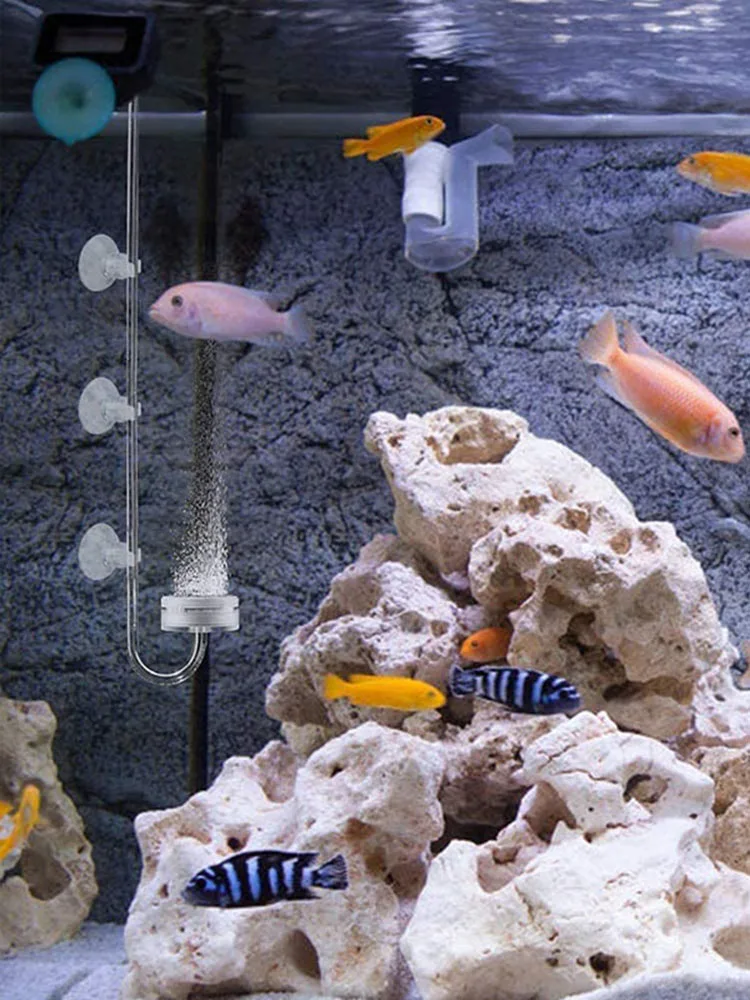 

30Pcs Aquarium Suction Cups Aquarium Tube Holder Clear Tank Suction Cups Air Pump Fix Air Tubes Fish Tank Clips