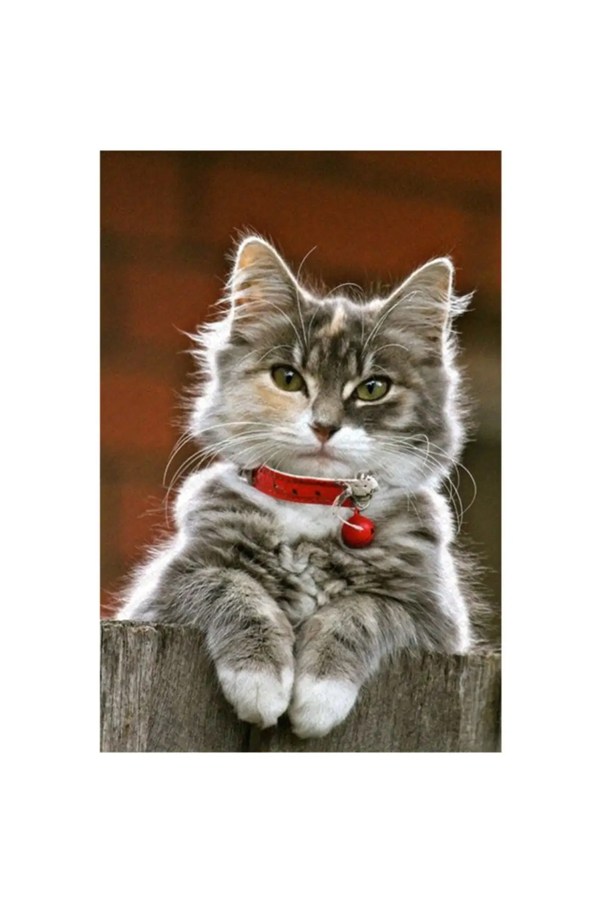 

Домашний декор, чехол для ковров, кошек с цифровой печатью