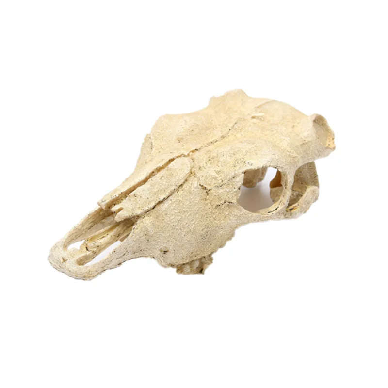 

Aquarium Fish Tank Ornament Aquascape Sheep Skull Resin Sculptures & Figurines Aquascape Decoration Pet Hideout Halloween Skull