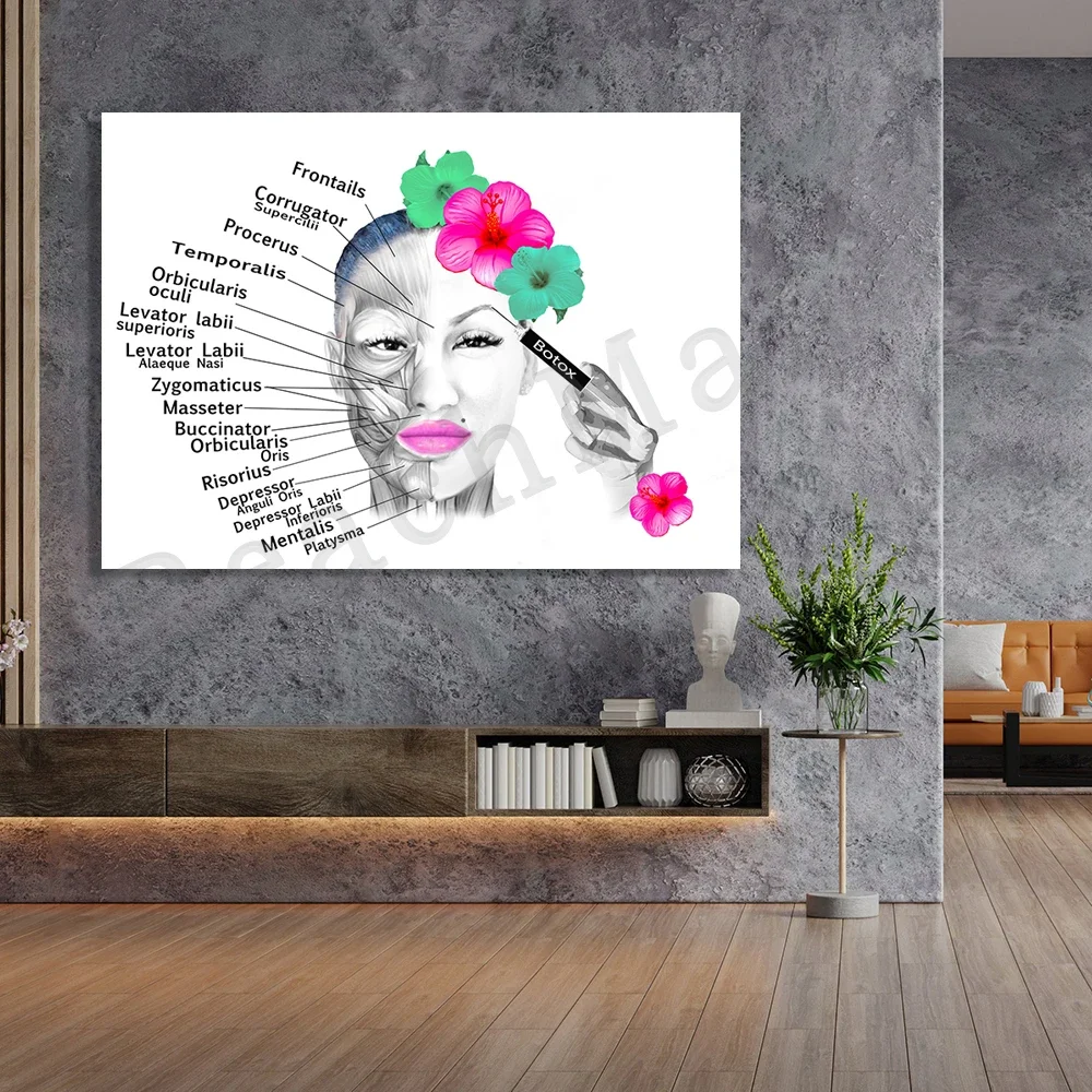 Постер анатомии лица мышцы и прожилки косметолог пластика хирурга массажный