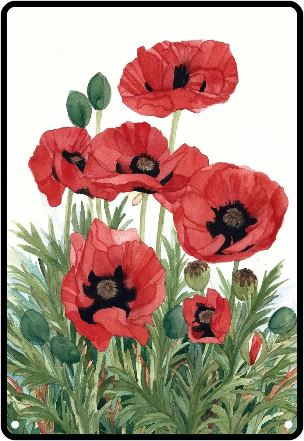 Цветы Маки Metl Sgn Poppes Flower Tn Red Poppy Botncl Florl Vntge Grden Decortve Plque Frmhouse C