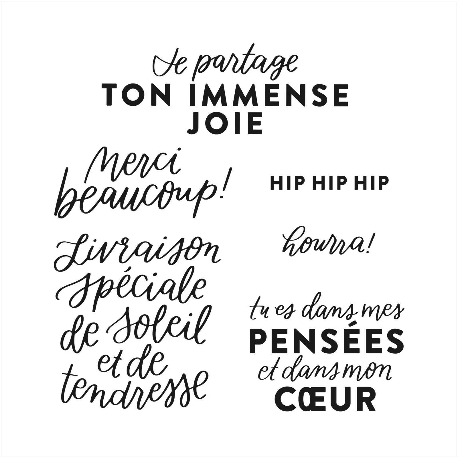 

Штампы и металлические штампы для скрапбукинга открыток, с изображением французских слов на День Благодарения, июль 2022 года и декабрь