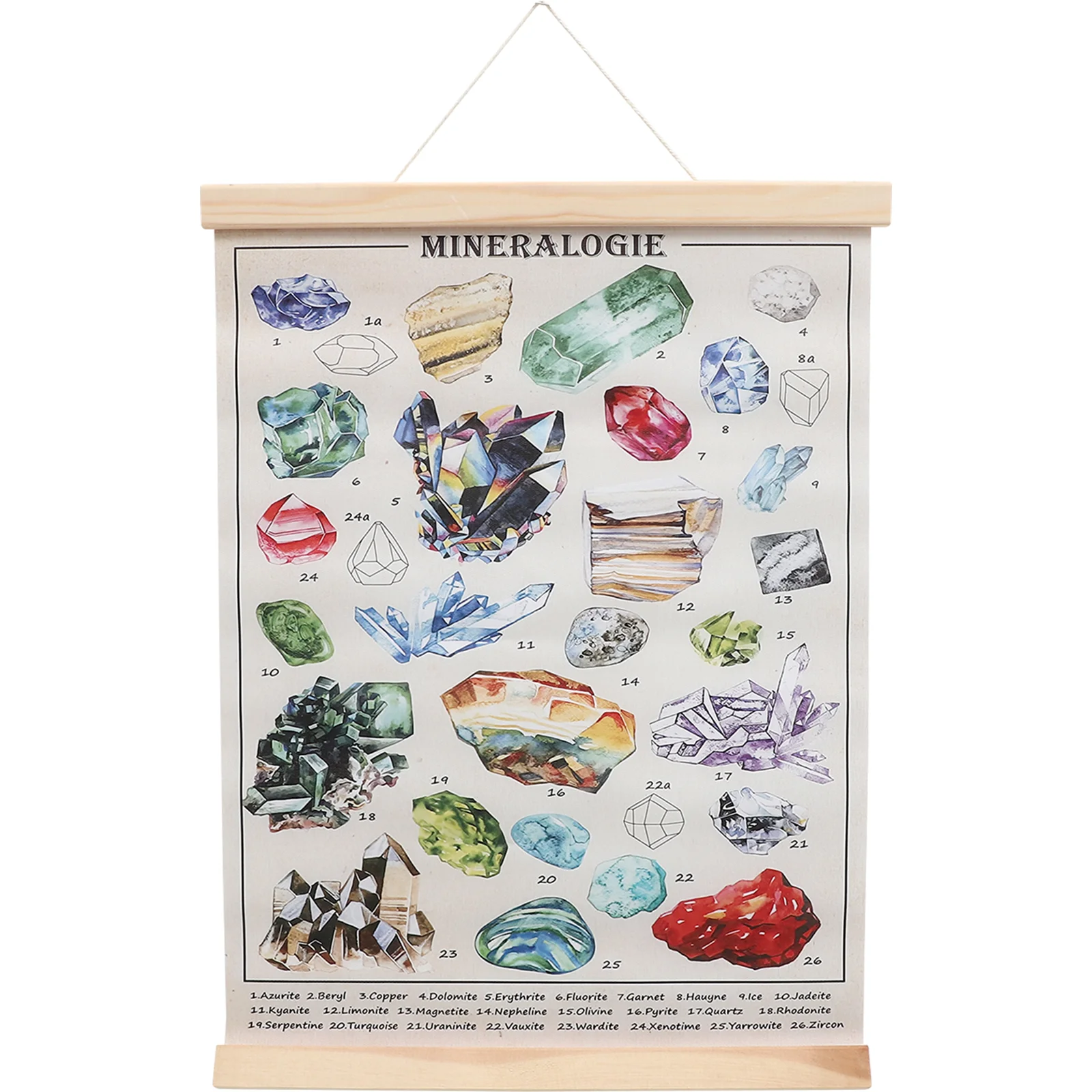 

Illustrated Book Cactus Decor Home Hanging Scroll Colorful Mineral Poster Canvas Crystal