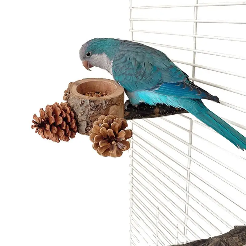Птичий окунь с миской клетка кормушка для попугаев миска еды воды корелла конусы