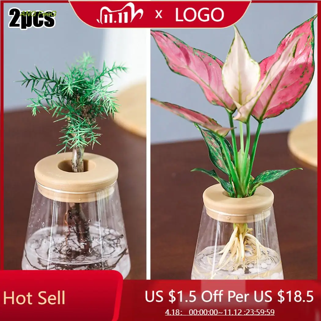 

2pcs Automatic Absorption Clear Flower Pot For No Soil To Grow Small Potted Plants Home Garden Plant Care Accessories