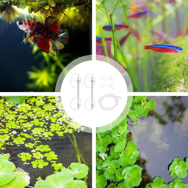 wa roślina pływająca korralny pierścień do karmienia ryb oddziela i chroni pływające rośliny zwiększają przejrzystość wody filtr