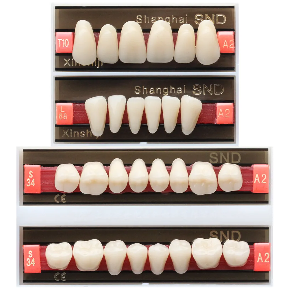 A3 оттенок с полным ртом двухслойная стоматологическая акриловая синтетическая