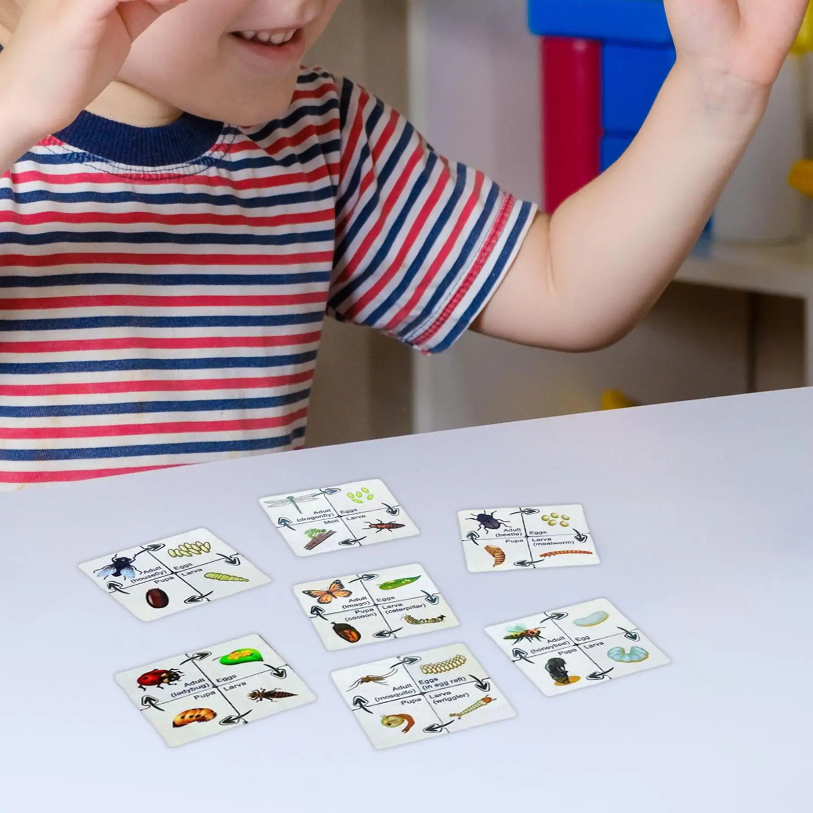 

Growth Cycle Puzzle Set Educational Science Cognition for Activities Family