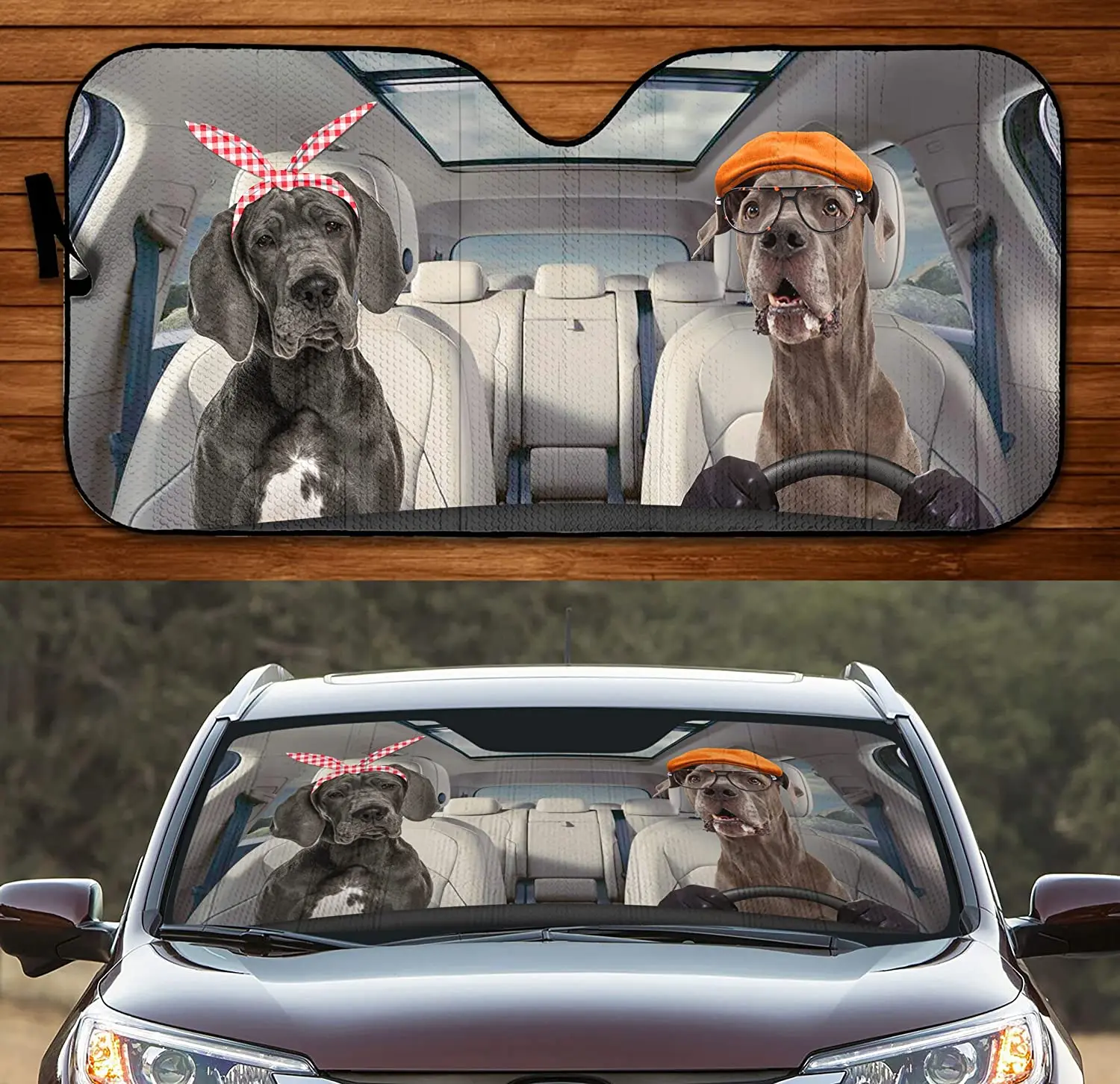

Funny great dane couple driving summer car awning car windshield visor car windshield sunshades