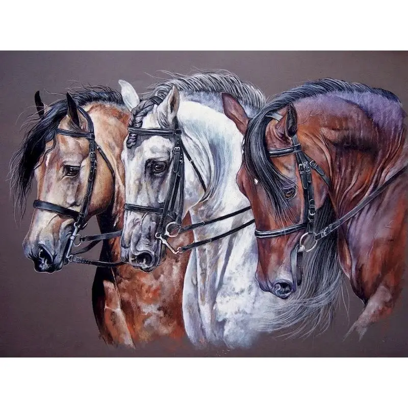 

GATYZTORY 40x50cm Paint By Numbers Animals Oil Painting By Numbers On Canvas Three Horses Frameless DIY Home Decor living Room