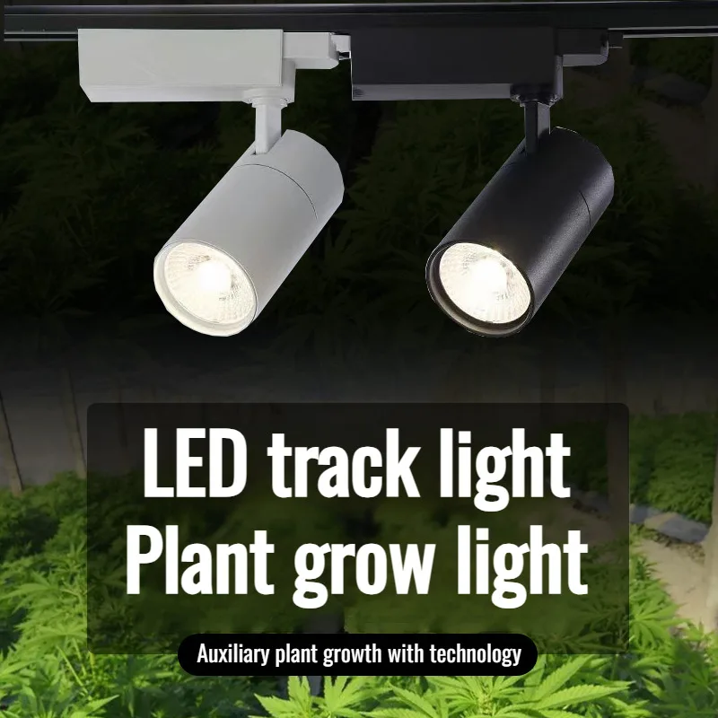 Фотофон с зелеными растениями цветочным магазином и планшетом