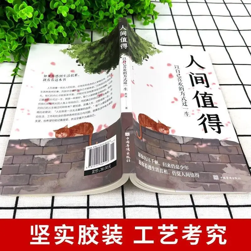 Рисунок 2 - Мир заслуживает того