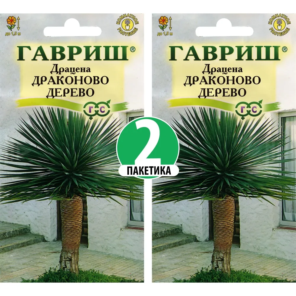 Семена Драцена Драконово Дерево (2 пакетика по 3шт в каждом) |
