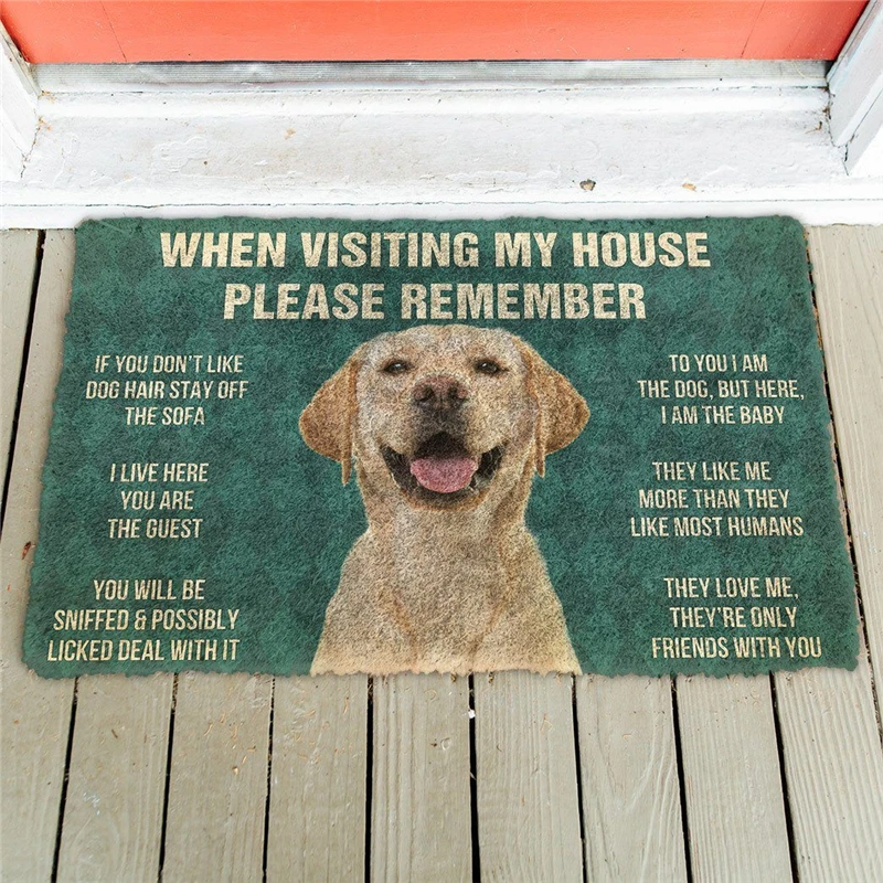 

Please Remember Labrador Retriever Dogs House Rules Doormat Decor Print Carpet Soft Flannel Non-Slip Doormat for Bedroom Porch