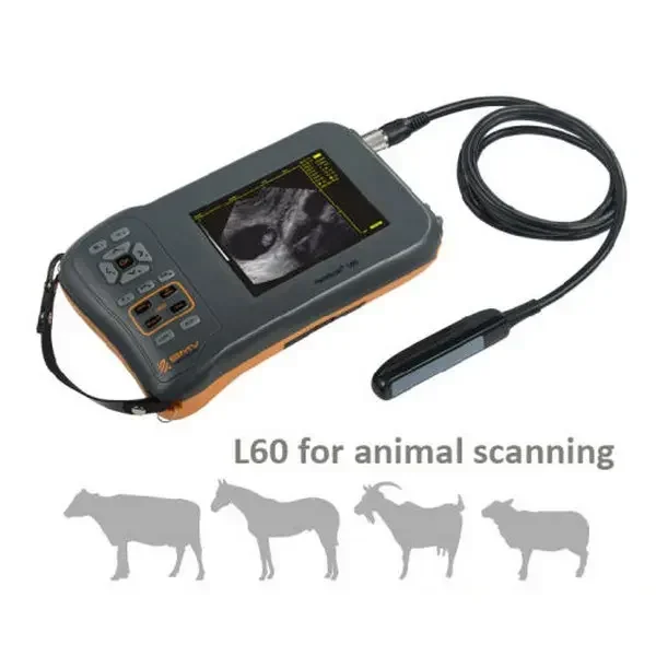 BMV Farmscan L60 свинья крупный рогатый скот корова рогатое ветеринарное оборудование