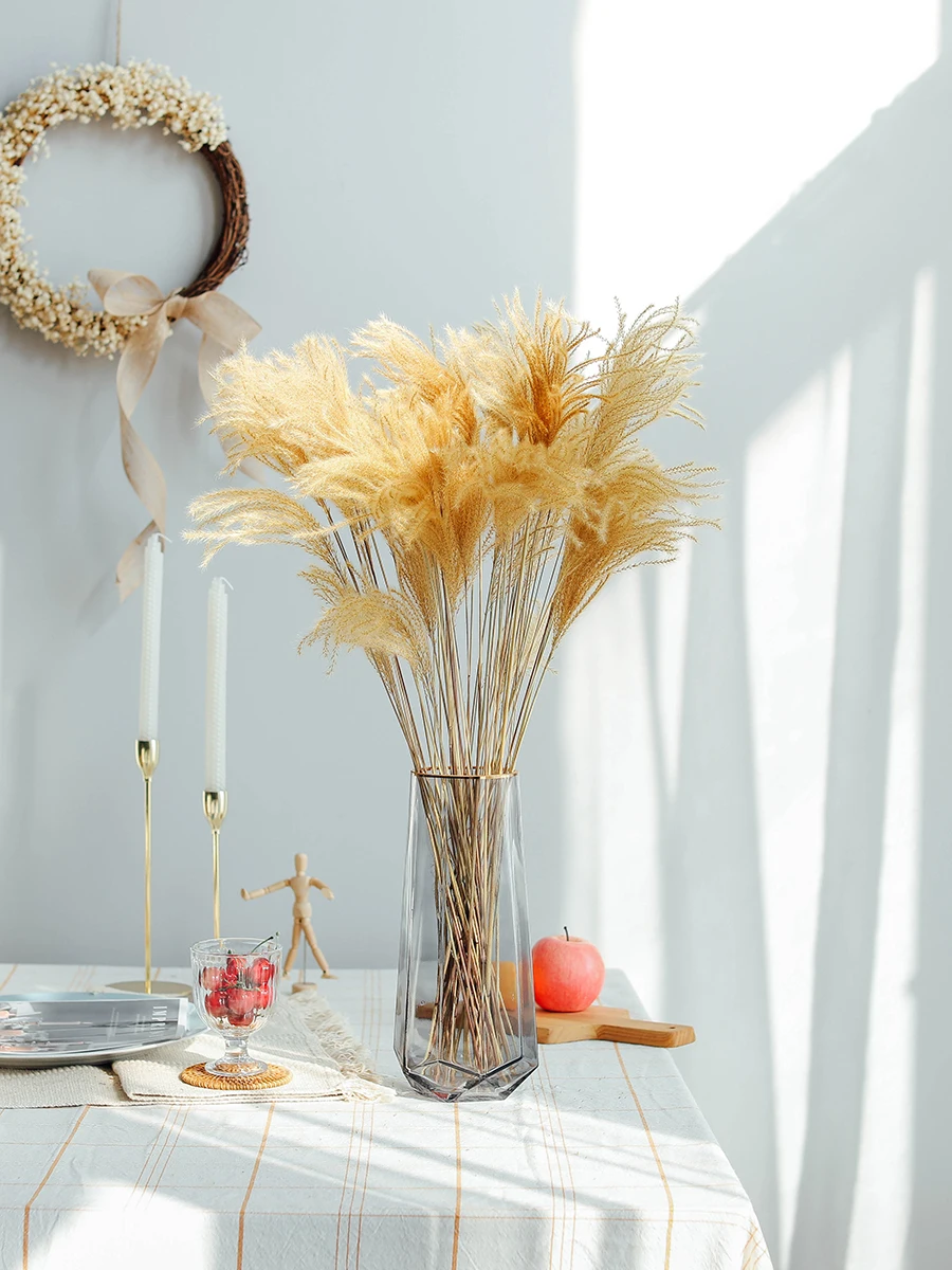 

Primary Color Reed Flower Decoration Dog-Tail Natural Plant Window Decoration Living Room Dust Golden Silk Grass