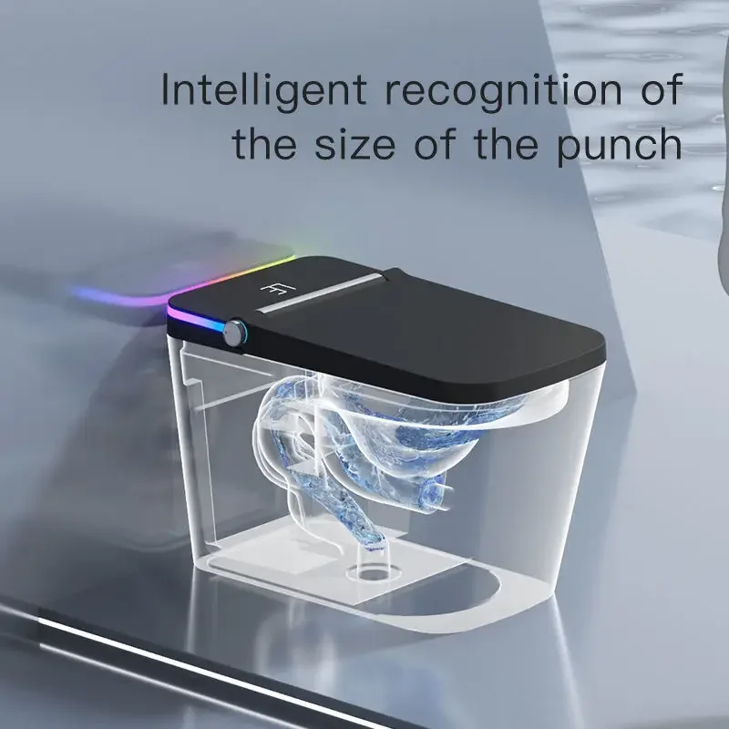 Для европейского стиля сантехника интеллектуальные биде туалеты цельная