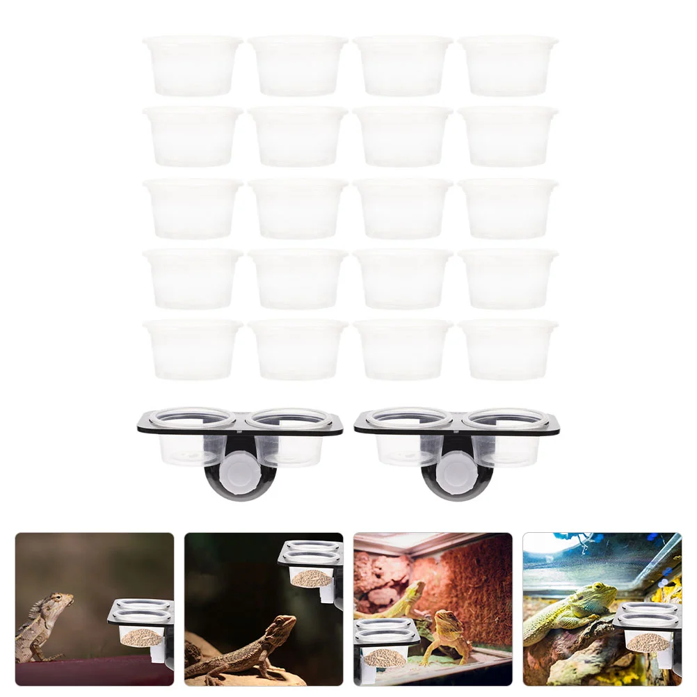 

Reptile Bowl Water Feeder Geckofeeding Dish Ledge Lizard Tank Cup Basin Turtle Crested Accessories Container Drinking Supplies