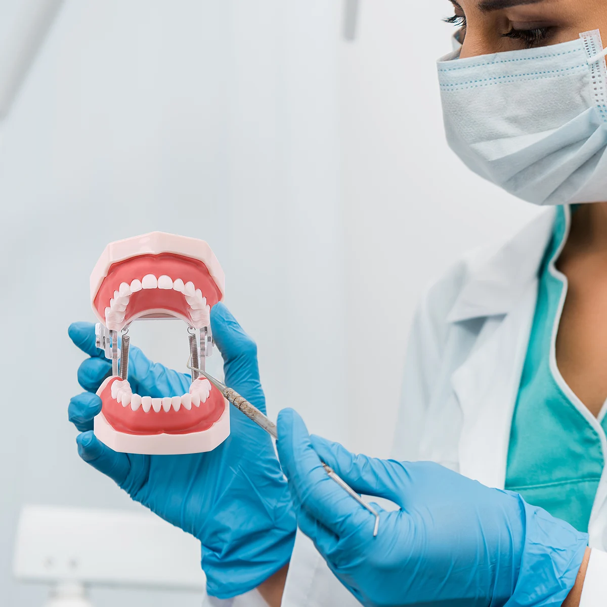 Зубная модель Azdent обучающая зубов зубных типодонов для техников зубной резины