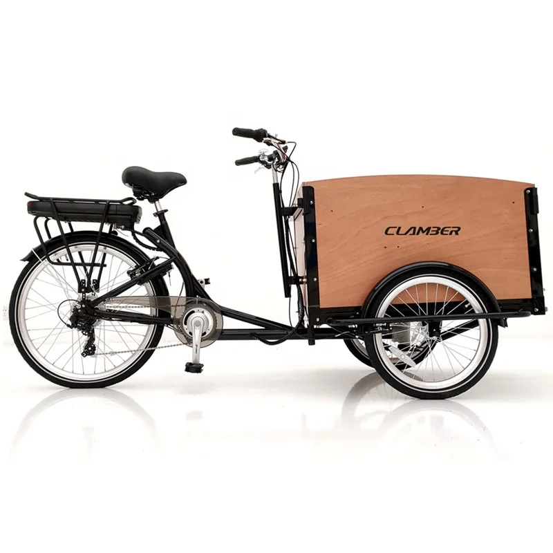 

High Quality Pet Dog Cargo Trailer with Wood Box Family Three Wheels Electric Cargo Bike Bicycle Electric Tricycle
