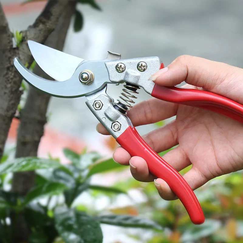 

SK5 Pruner Horticulture Fruit Tree Shears Pruning Shears Garden Scissors Garden Tools Bonsai Gardening Secateurs Grafting Tool