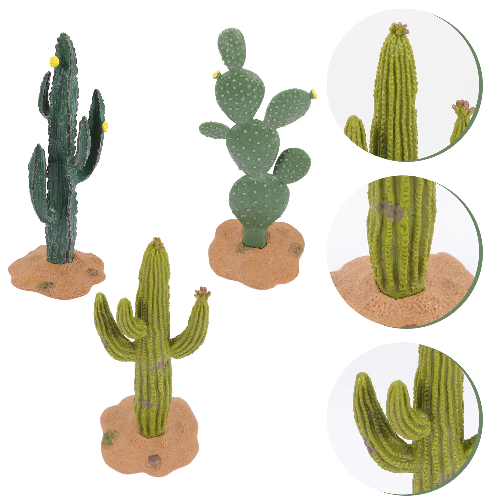 

3 Pcs Mini Plants Figurines House Cactus Decor Car Models Tiny Miniatures Adorn Decorate Craft Decors Artificial