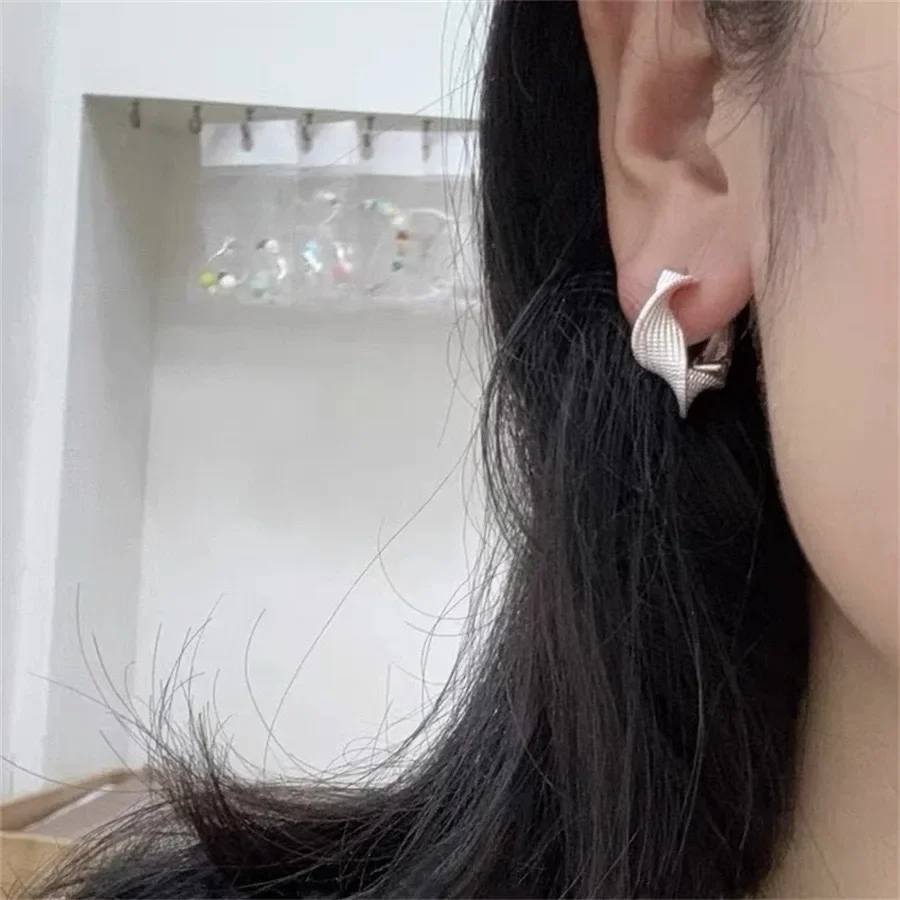 Niche French Style Metal Weave Cable Knit Earrings Women's Fashionable Elegant Versatile Ear Circle Design Sensibility