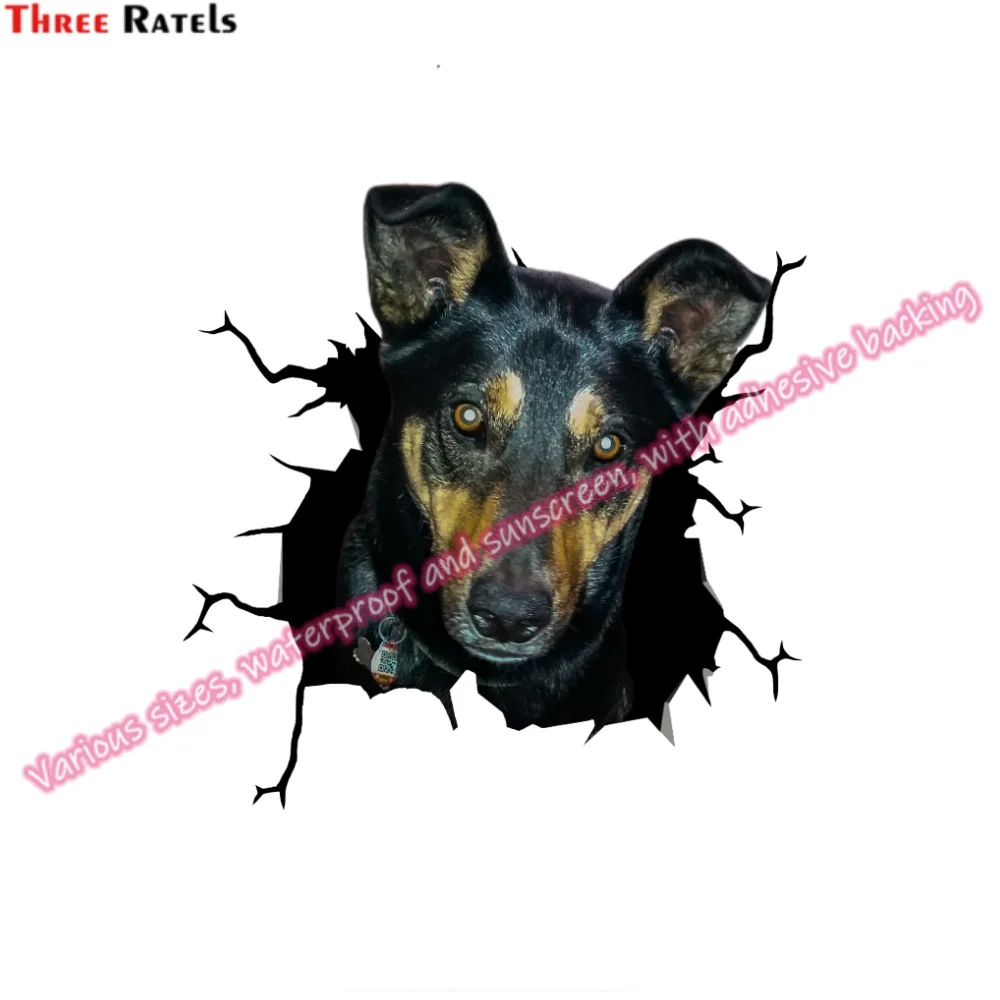 Автомобильные виниловые наклейки Three Ratels для Audi Q5 Аксессуары автомобилей Renault Megane