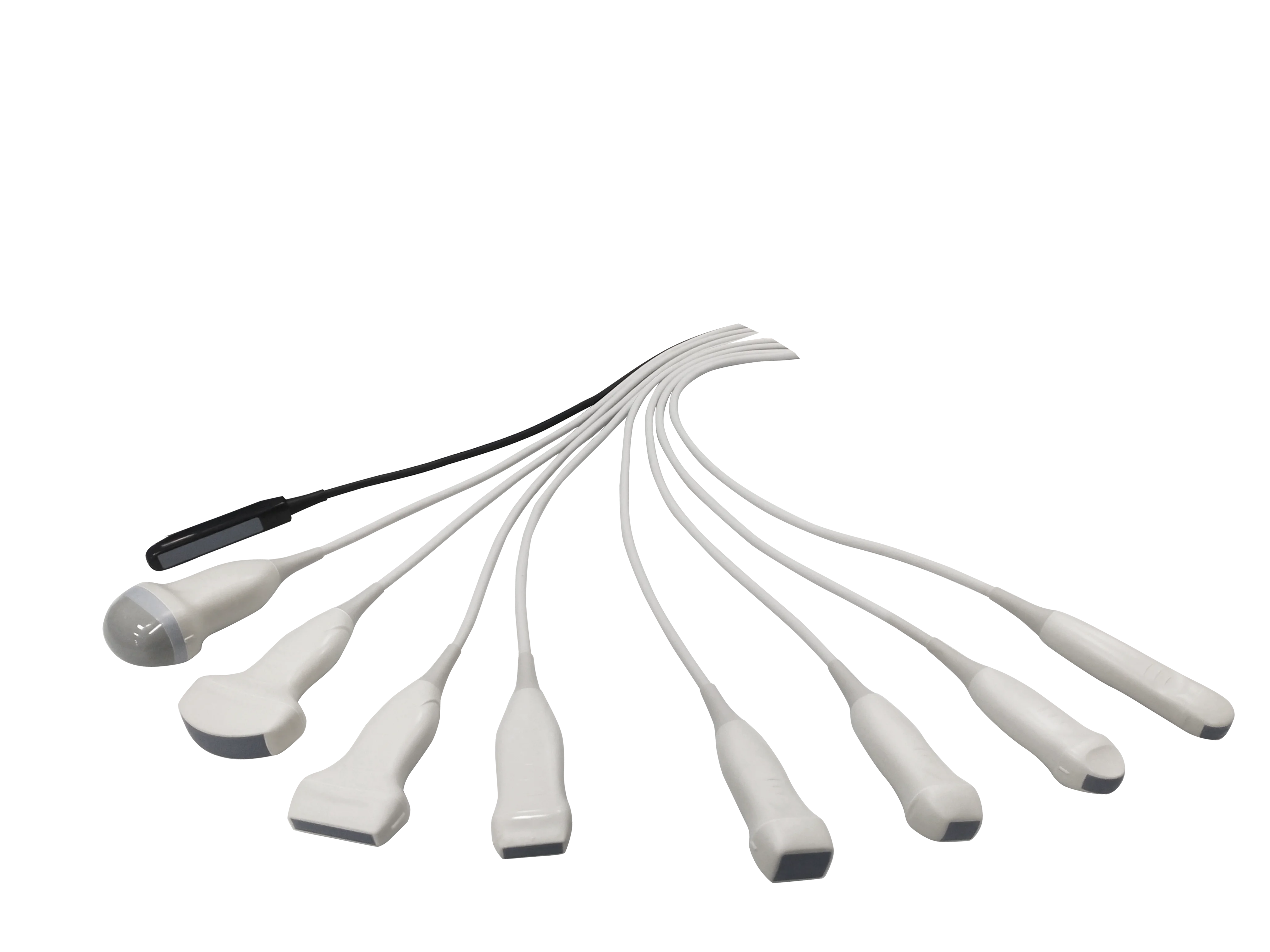 Портативная система звуграфии животных Dawei для диагностики изображений домашних