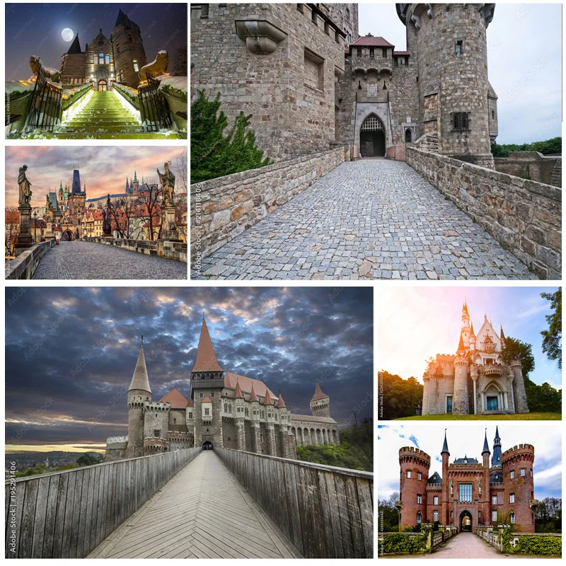 

SHENGYONGBAO Natural Scenery Photography Background Landscape Travel Castle Photo Backdrops Studio Props 211226 CB-03