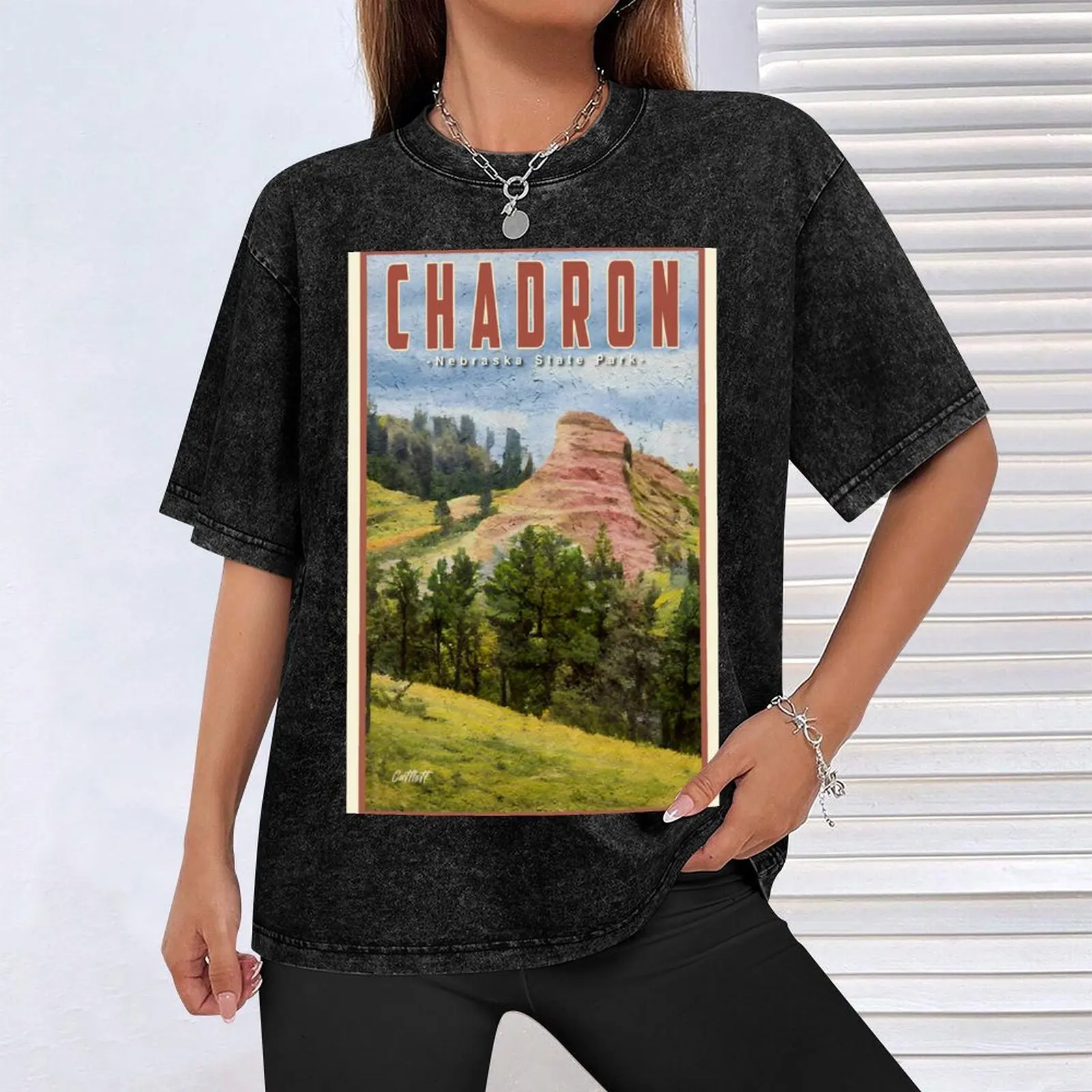 Футболка Midwest V2 Travel Nebraska Chadron State Park футболки с короткими рукавами мужская