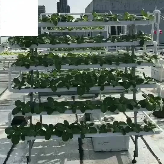 168-отверстий многораспанные теплицы вертикальные гидропонные системы NFT для