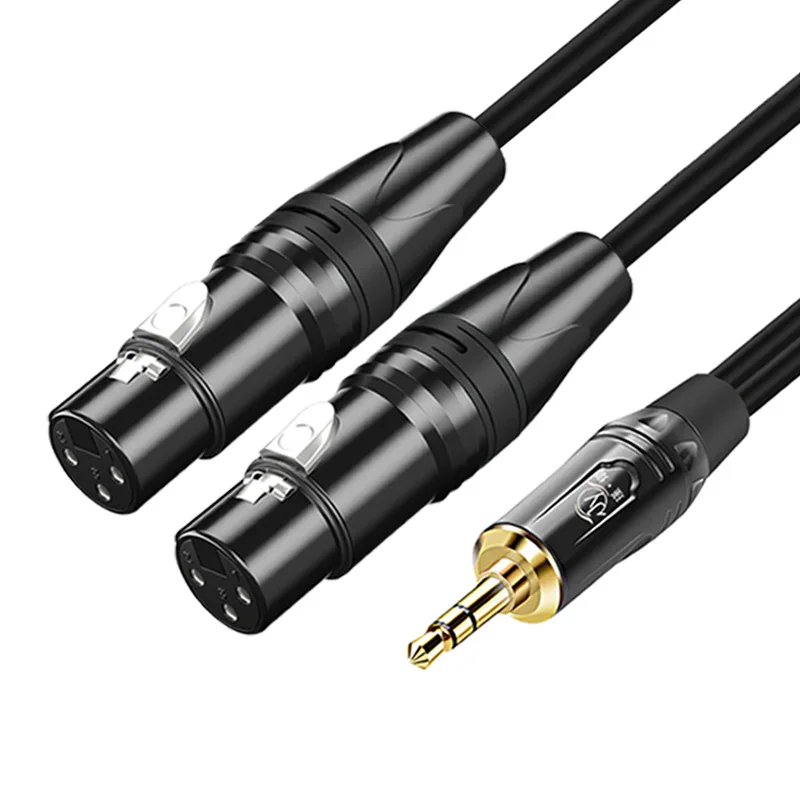 

3.5mm to double mini 3 pin XLR