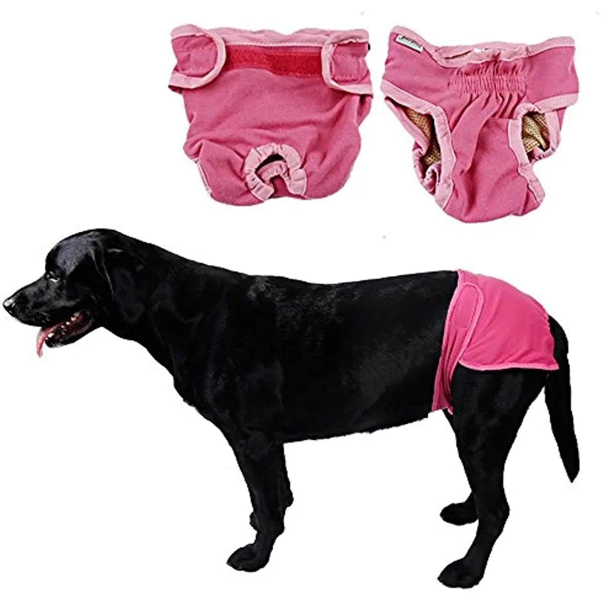 

Dog Female Diapers Puppy Protectve Protectors Pants Puppy Large/Small