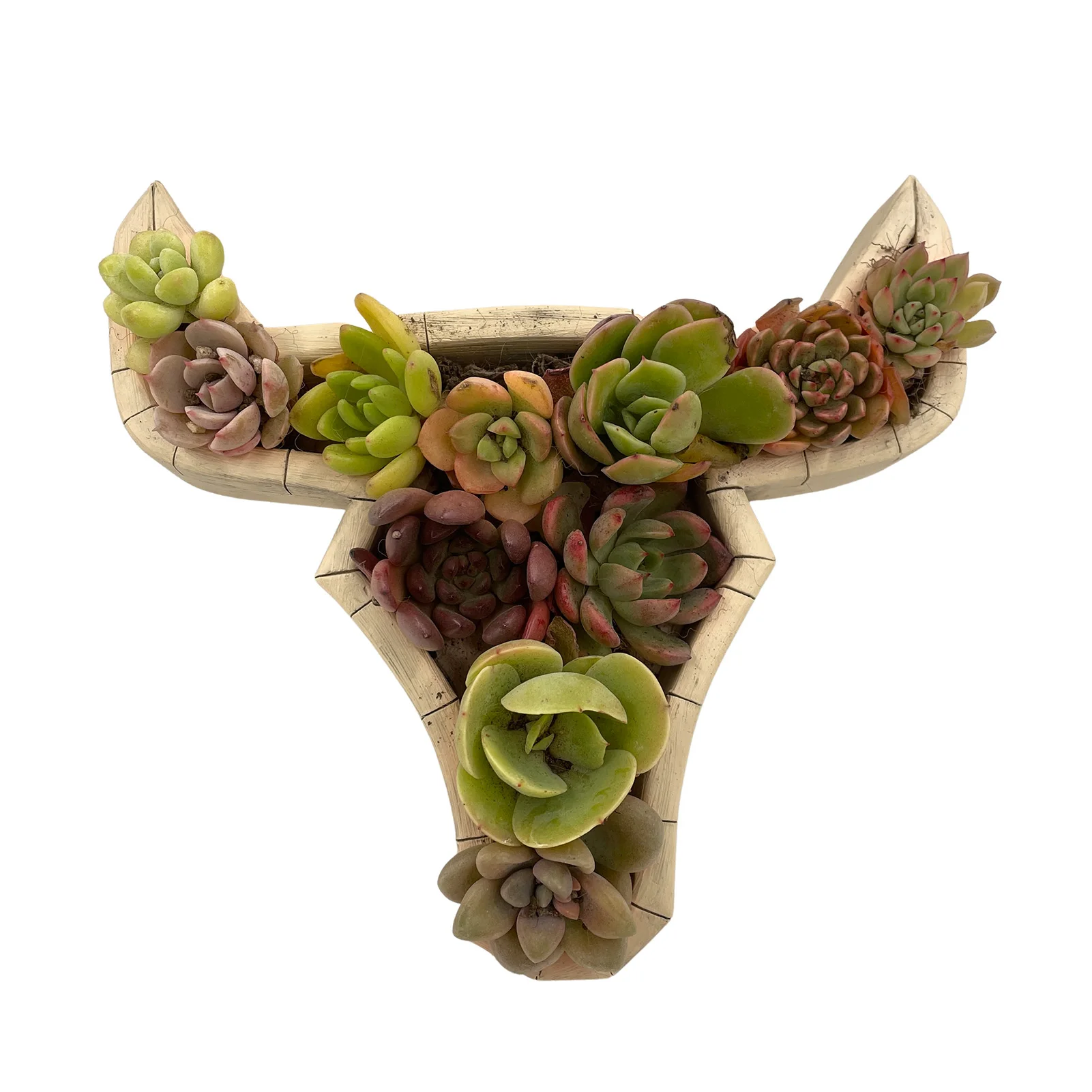 

Плантатор для суккулентов из смолы в форме животного, плантатор для декоративных суккулентов, настольные контейнеры с мультяшным рисунком