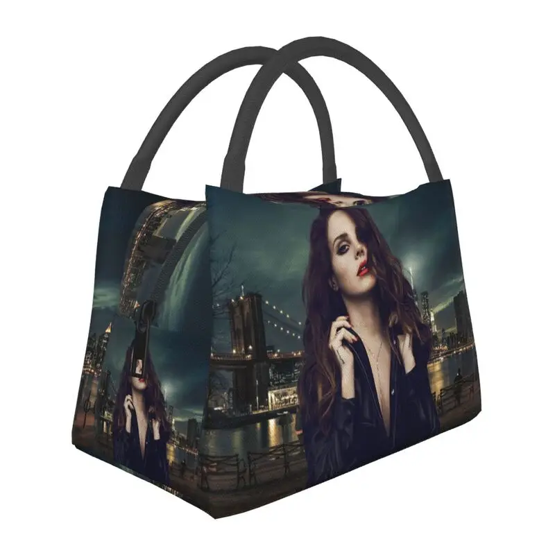 

Переносная изолированная сумка для ланча-холодильник, стильная и простая, подходит для пикников