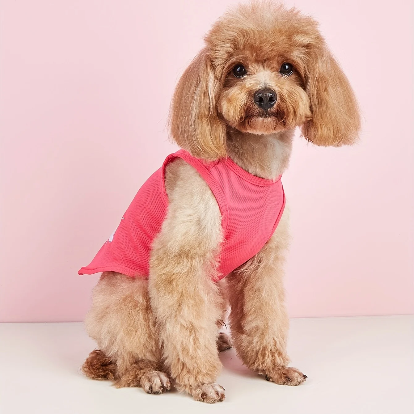 Дышащий Удобный Жилет Для Собак С Принтом На Все Сезоны — Вместительная Свежая