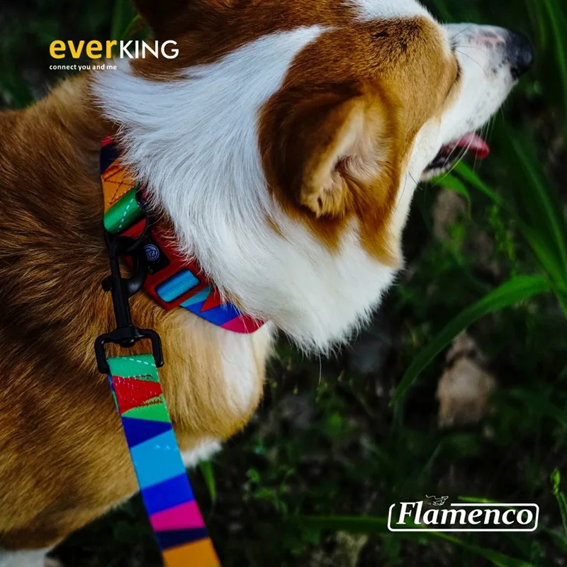 Выдвижной Поводок для домашних питомцев семейный средний и большой прогулок с