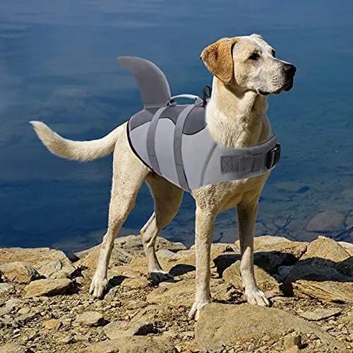 

Dog Life Jacket, Adjustable Pet Floatation Vest Lifesaver Safety Vest Life Preserver for Small Medium Large Dogs (XL, Grey)