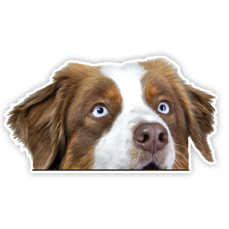 

DK313 # Коричнево-белые австралийские наклейки для автомобиля с собакой, водонепроницаемая виниловая наклейка для грузовика, мотоцикла, скутера, автоаксессуары