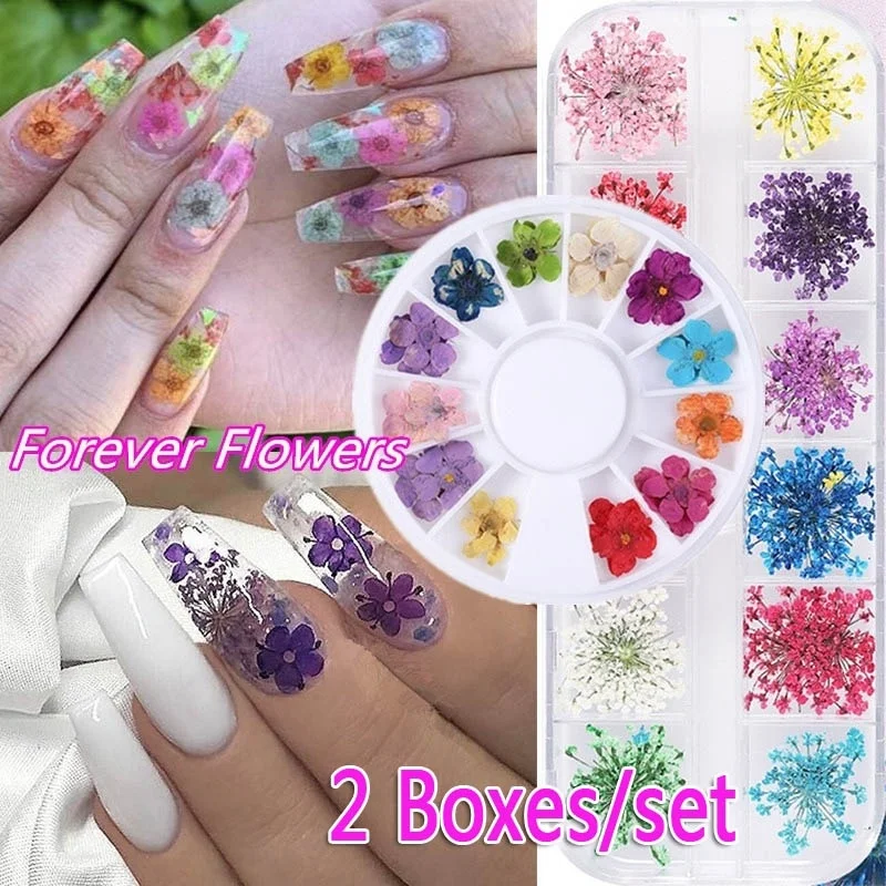

Sdotter 2 Boxes/set Nail Flower