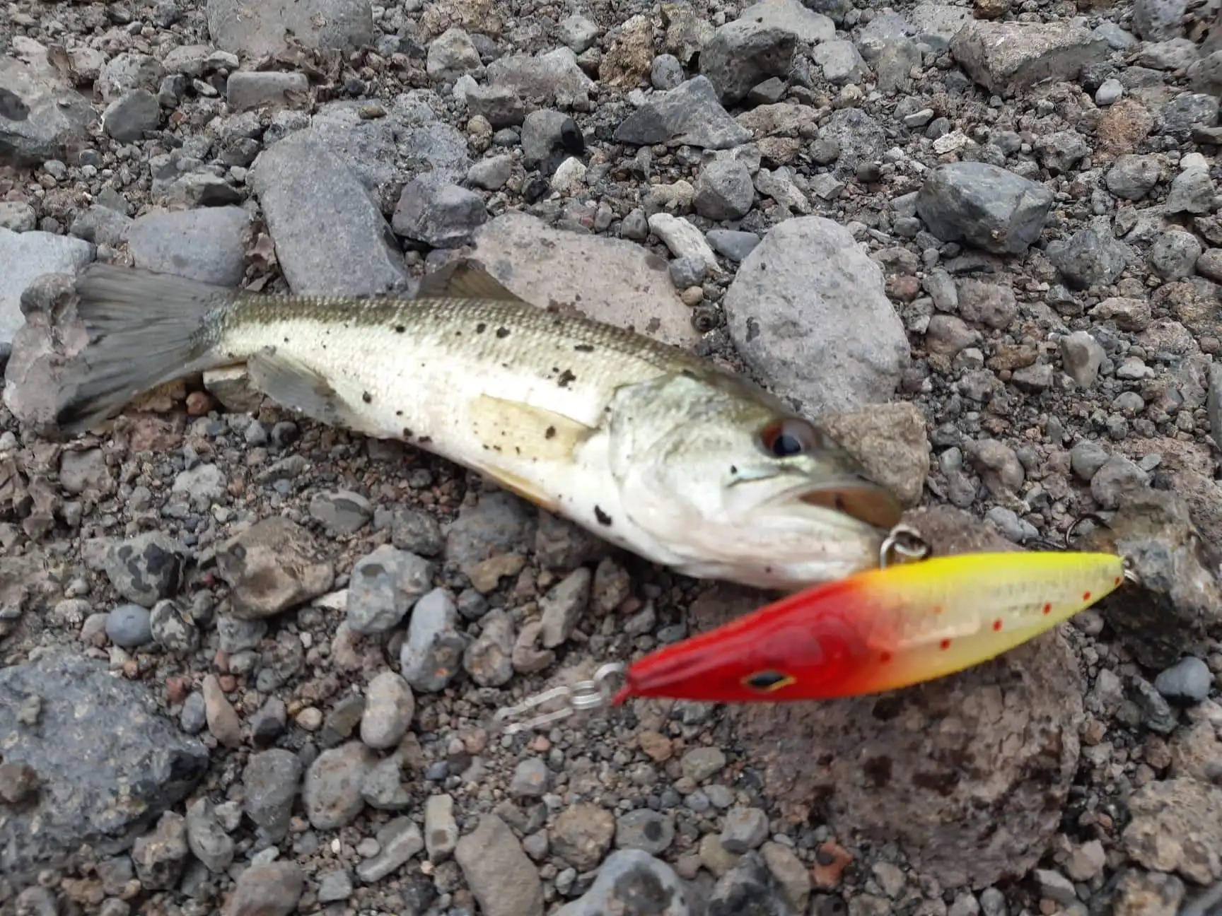 D1 Topwater Pencil Lure Stickbaits Floating Fishing Lures 90mm 110mm 130mm Sureface Sea Fishing Baits For Seabass DT3002