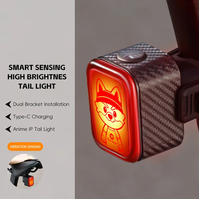 Фото Задний фонарь для велосипеда WEST BIKING Cartoon IP Smart Bike Taillight с функцией автоматического включения/выключения при вибрации, водонепроницаемый IP66, светодиодный, с разъемом Type-C. №1