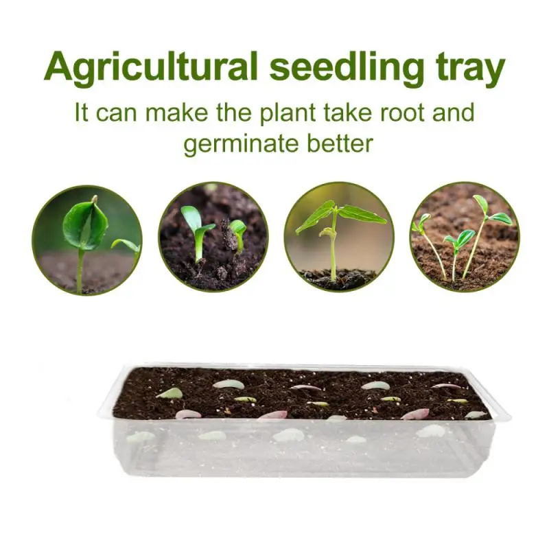 

10pcs Seed Starter Tray Transparent Nursery Pots Garden Solid Plant Vegetable Seed Growing Tray Reusable Garden Planters Pots