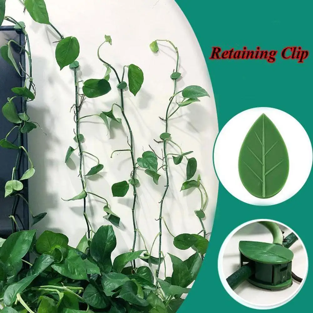 

Invisible Plant Climbing Wall Fixture Rattan Vine Bracket Wall Garden Attachment Fixed Leaf Climbing Vine Buckle Traction C S8j6